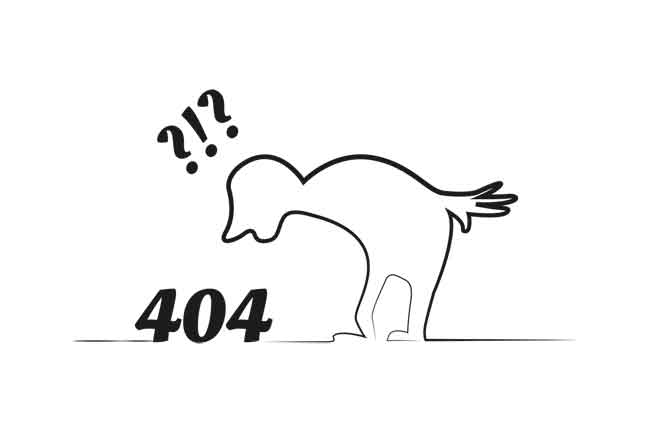 404 Error - Nada Encontrado
